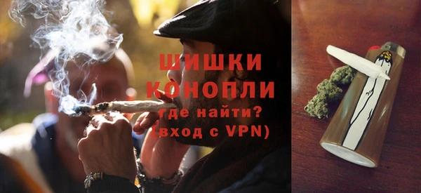 индика Баксан