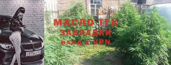 индика Баксан