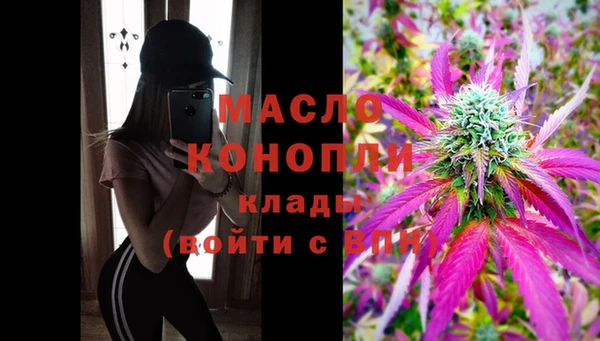 индика Баксан