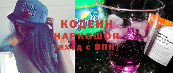 индика Баксан
