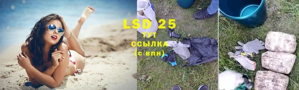 индика Баксан
