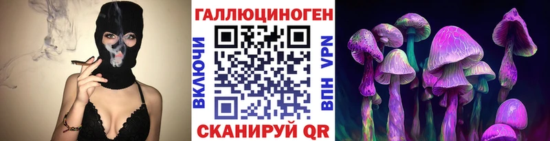 как найти наркотики  Челябинск  Галлюциногенные грибы Psilocybine cubensis 